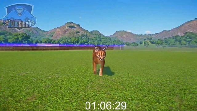 Animals Fire Race - Clouded Leopard, Wild Water Buffalo, Nyala, Caracal, West African Lion смотреть онлайн