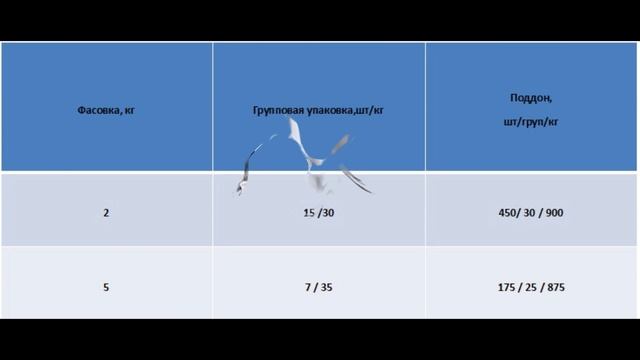 Презентация ООО Лига Ч смотреть онлайн