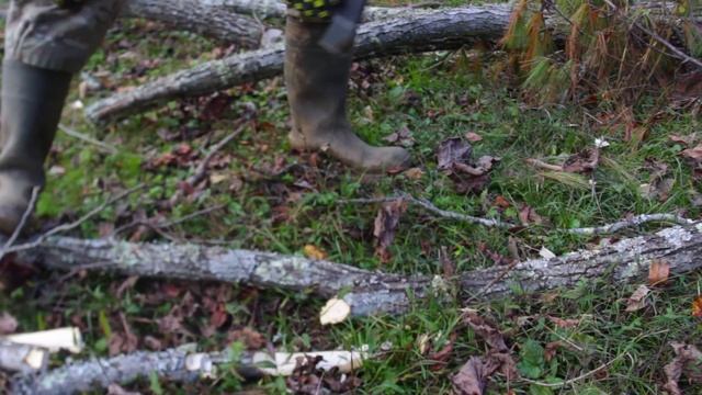 Testing Fiskars X7 14 Inch Hatchet смотреть онлайн