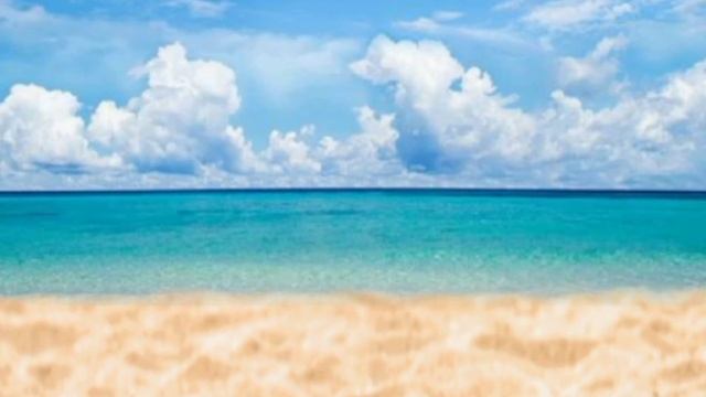the ULTIMATE SUMMER quiz 🍉⛱️!| ldam смотреть онлайн