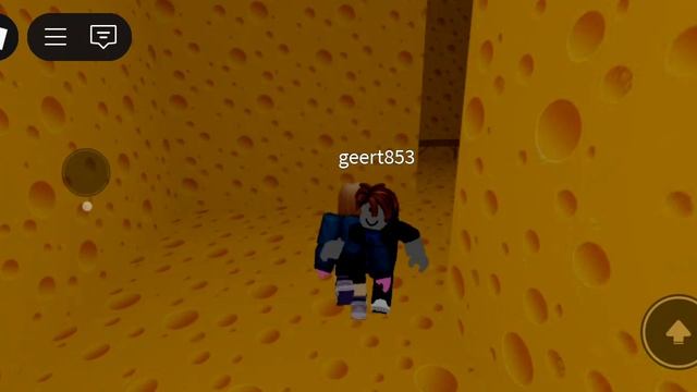 🧀 я УБЕГАЮ ОТ КРЫСЫ! УБЕЖАЛА ЛИ Я, ИЛИ НЕТ?*в опис*