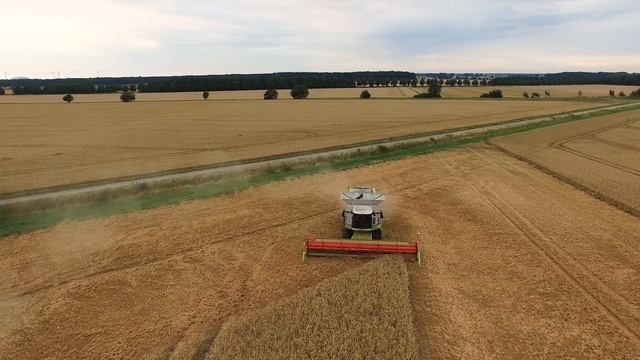 Claas Lexion 770 TT und Lexion 760 Mähdrescher | Getreideernte 2016 im Calenberger Land смотреть онлайн
