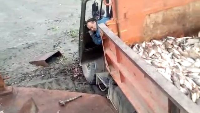 Уничтожения киты на Дальнем Востоке смотреть онлайн