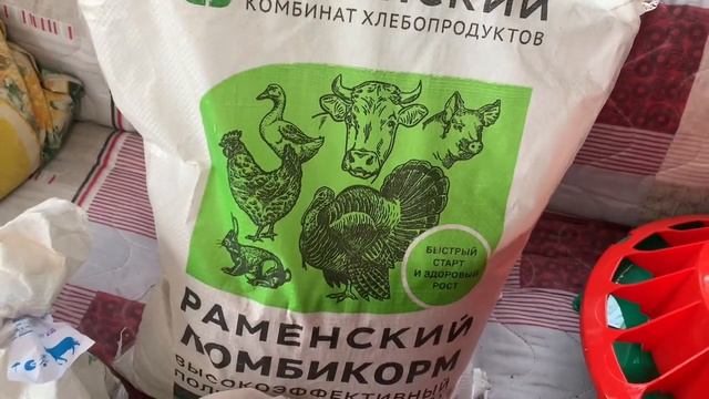 Ура🥳у нас цыплята 🐣🐥🐣что я купила для цыплят и курочек🐣🐥🐓11 апреля 2025 года смотреть онлайн