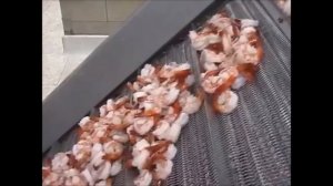 Бизнес по выращиванию креветок