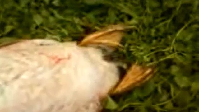 Ужастик, 18+ смотреть онлайн