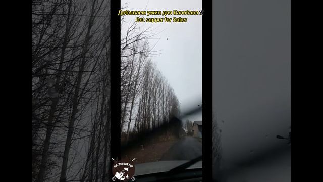 Ужин.Балобан.Отстрел Вороны.Крикет 5.5мм. Dinner.Saker.Shooting crows.Cricket 5.5mm. смотреть онлайн