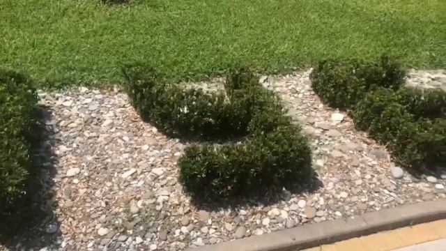 Вот куда в России стоит точно поехать летом - 7 шикарных бассейнов и "всё включено". Прометей Клуб