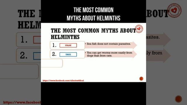 The most common myths about helminths #worms #helminth #parasite #prevention смотреть онлайн