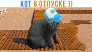 КОТ В ОТПУСКЕ ))) Приколы с котами | Мемозг 1590