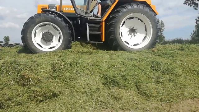 ❤️ WAKACYJNE WSPOMNIENIA ❤️ ZBIERANIE LUCERNY ❤️ смотреть онлайн