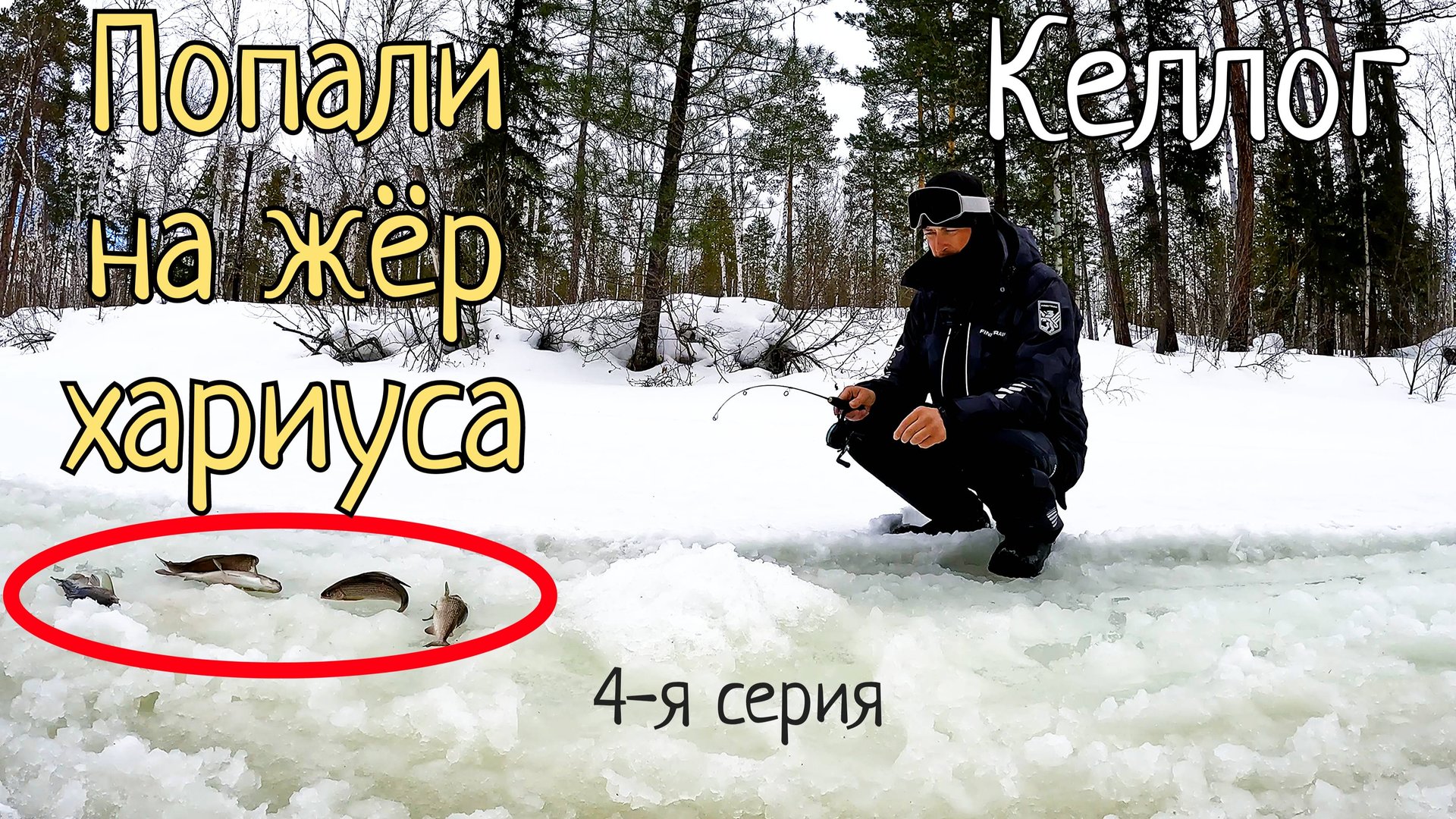 Жор хариуса и что на него влияет! Рыбалка не Севере, река Келлог/Часть 4-я. смотреть онлайн