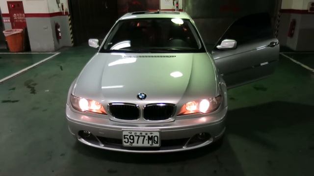 2015/02/03 BMW 318 (2)