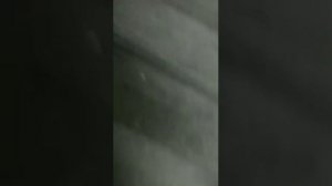 arise 77   Идём к шлюхам