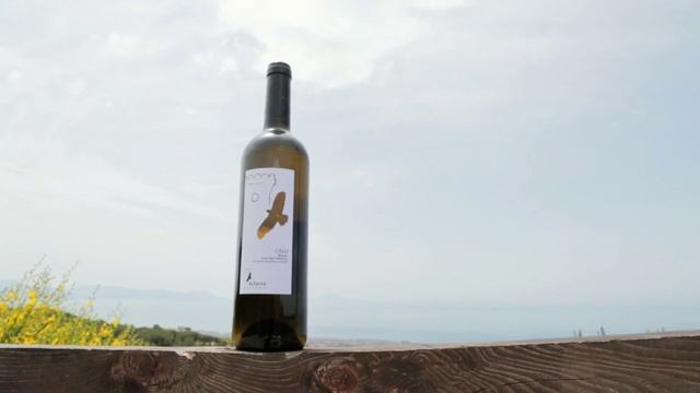 DocuWine | Calù - Cantine Sclavia смотреть онлайн