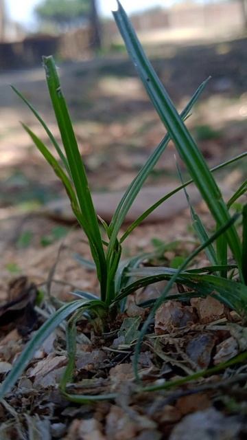 bk@camera## смотреть онлайн