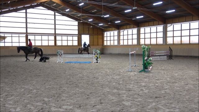 *** SOLD TO USA *** 1256 Que P *2014 mare, Guidam Sohn - Action Hero смотреть онлайн