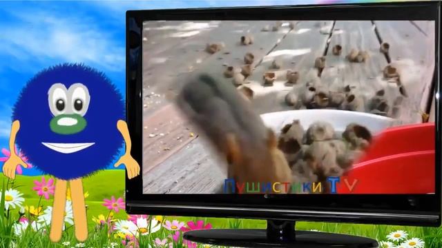 Алфавит Азбука Учим буквы азбука для малышей буква Б смотреть онлайн