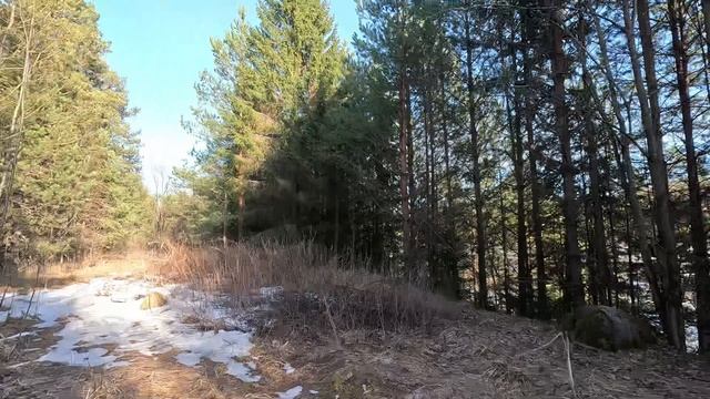 г. Тотьма лесное приключение смотреть онлайн