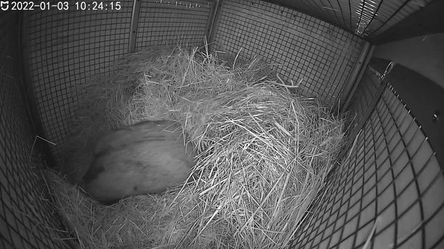 Теперь спать до Весны ✌🏻😁 смотреть онлайн