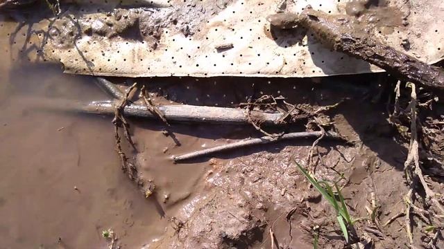 Сенсация! ШОК Контент! Под Казанью в луже нашли страшную тварь. смотреть онлайн