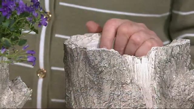 Martha Stewart 9" Faux Bois Planter on QVC смотреть онлайн