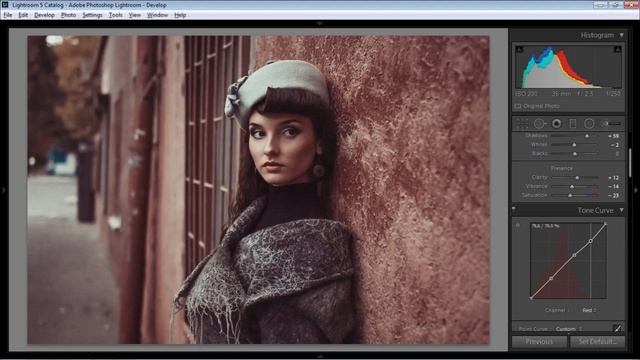 POZHIDAEVphoto Цветокоррекция Lightroom смотреть онлайн