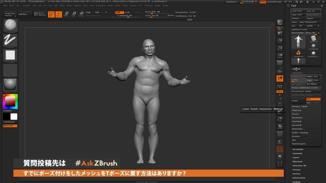 #AskZBrush - 「ポーズを付けたモデルをTポーズに戻すには？」 смотреть онлайн