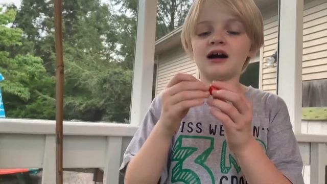 Planting Peppers in 5 Gallon Buckets - Sweet - Bell - Jalapeño смотреть онлайн