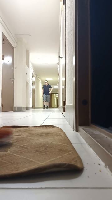 Возвращение Мурзика домой смотреть онлайн