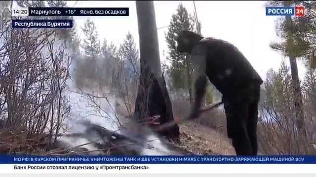 Россия 24_Природные пожары в регионах РФ смотреть онлайн