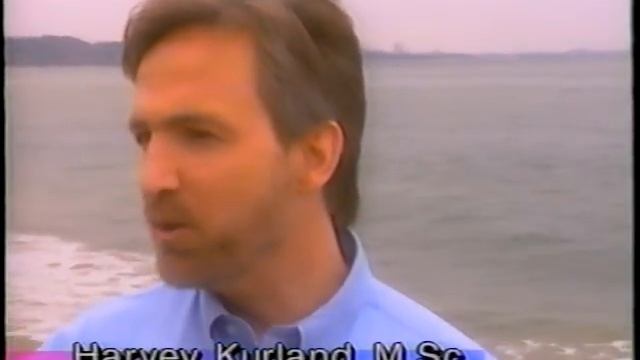 Mike Interviews Harvey Kurland about Tai Chi Chuan. смотреть онлайн