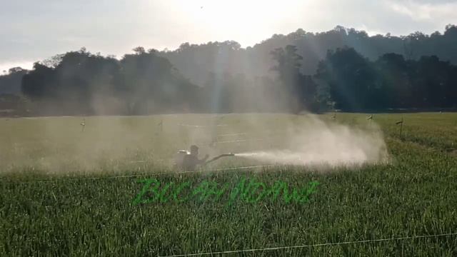 MARUYAMA MD1800X #Brunei #BocahNdawe #Sprayer смотреть онлайн