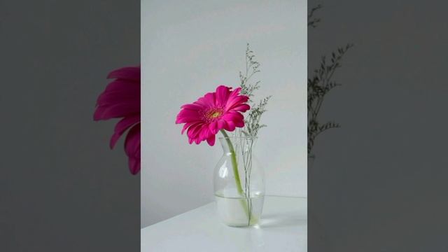 6.15 26.08.22 смотреть онлайн