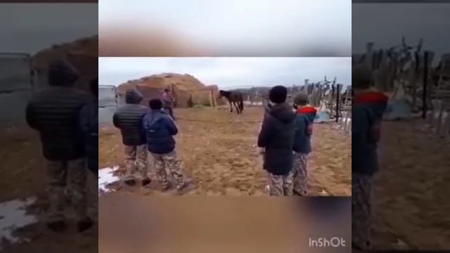 27 ноября 2020 г. смотреть онлайн