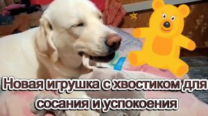 Новая игрушка с хвостиком для сосания и успокоения.