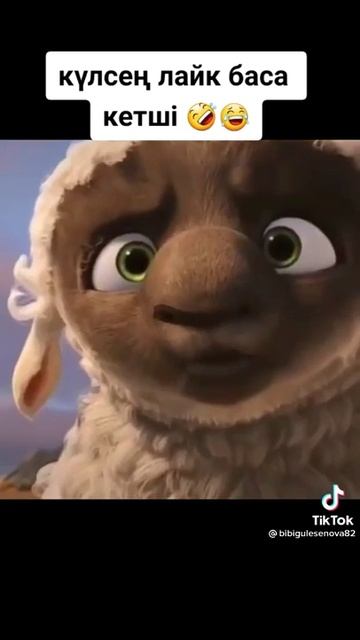 НУРИСЛАМ прикол