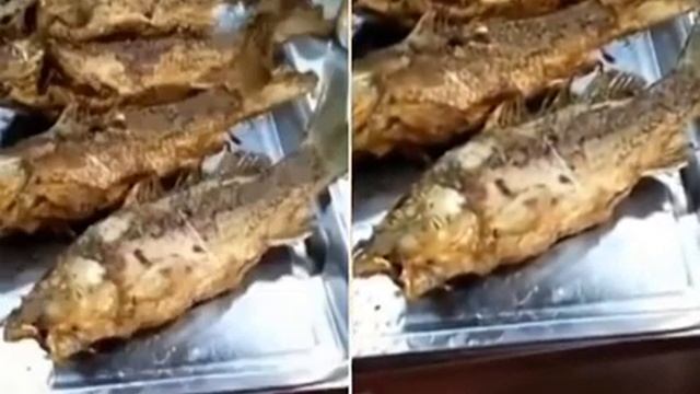 Deep-fried zombie fish! Seafood suddenly starts twitching despite being cooked смотреть онлайн