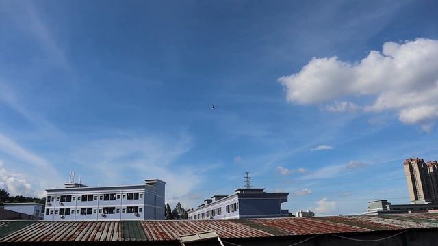 A test of 300C Schweizer Smart Helicopter, 3blades 🥳 смотреть онлайн
