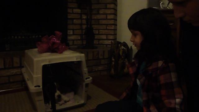Santa brought Frances a Puppy! смотреть онлайн