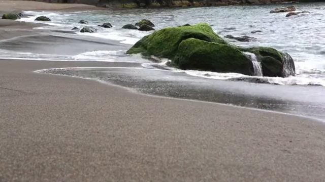 Марина Медведева Весна 2020 с Мечтой смотреть онлайн