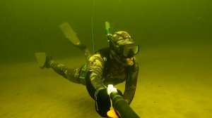 Подводная охота "ВОЛГОГРАД". Большие стаи рыбы. Карась, Щука, Налим, Минога, Окунь. #топыкатегорий