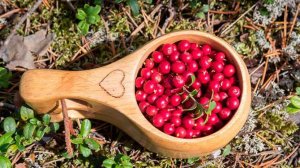 Диетолог назвала продукты с содержанием ресвератрола