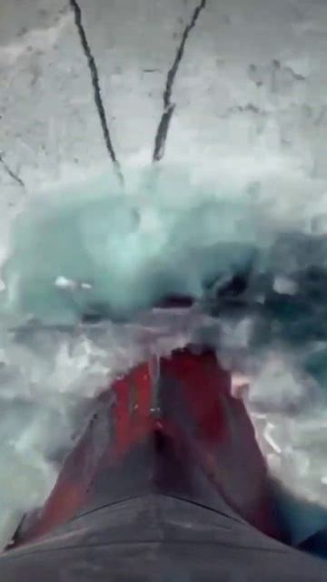 Промысел сельди во льдах 2024 смотреть онлайн