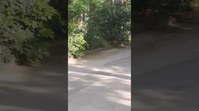 Гоголя,3. смотреть онлайн