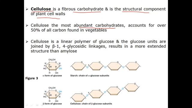 What are Polysaccharides #starch #whatispolysaccharides #Hemicelluloserole смотреть онлайн