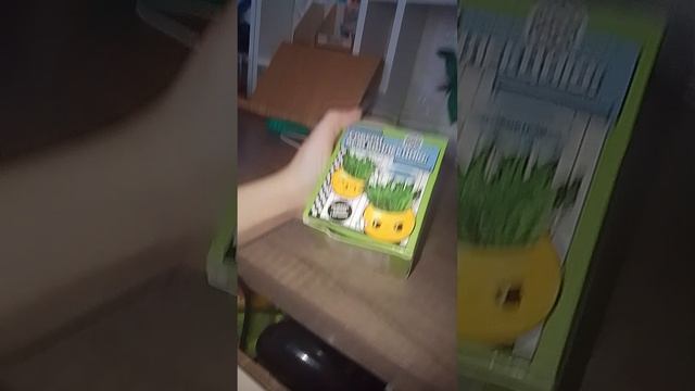 1000020864.mp4 смотреть онлайн