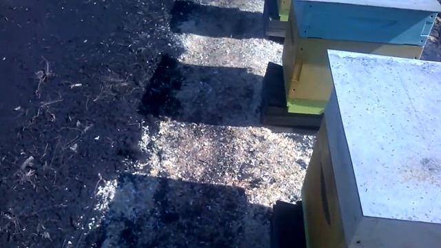 Первая главная работа на пасеке весной. смотреть онлайн