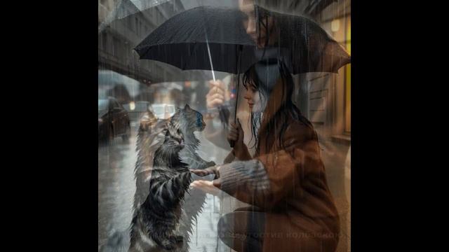 Спасла бездомного кота. Песня о дружбе "БЕДНЫЙ КОТ". Бездомный кот обрел дом (слова и музыка JuM) смотреть онлайн