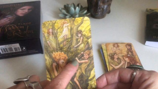 🌟Tarot of the Hidden Realm🌟 смотреть онлайн